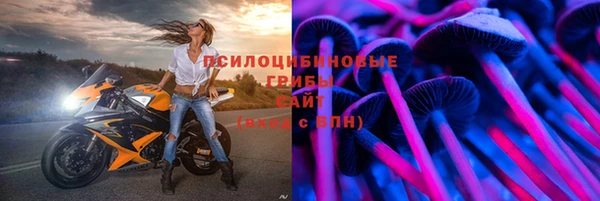 шишки Аркадак