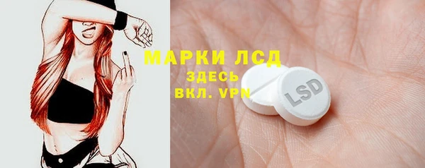 ПСИЛОЦИБИНОВЫЕ ГРИБЫ Арсеньев