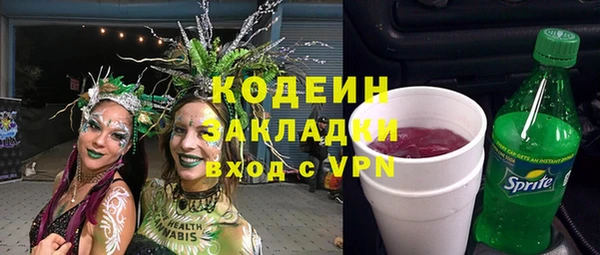 шишки Аркадак