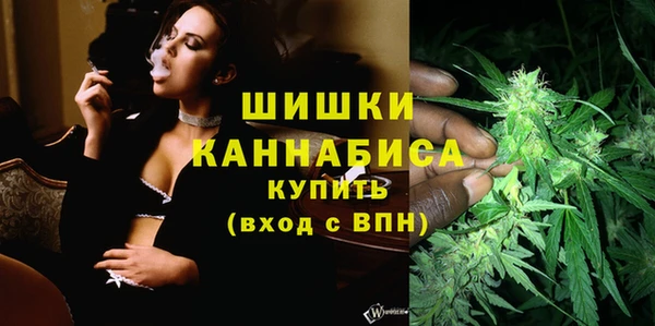 ПСИЛОЦИБИНОВЫЕ ГРИБЫ Арсеньев